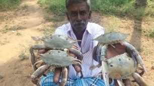 'Cooking Village Style Crab Curry Gravy in Our Farm - Food Money Food'