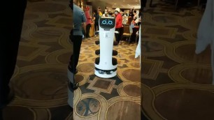 'BellaBot food delivery robot serve customers at a Dallas Open Day event'