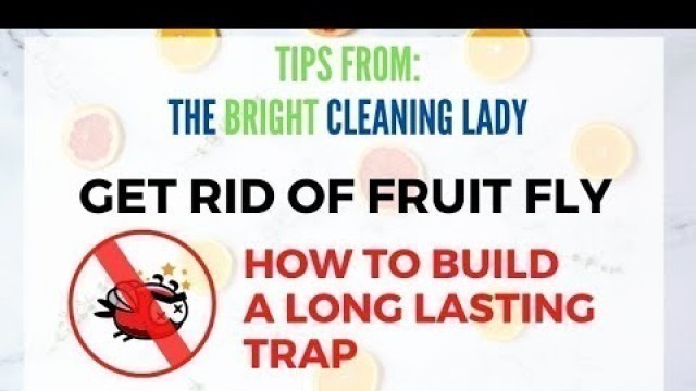 'Get rid of fruit flies with an easy and long lasting trap'