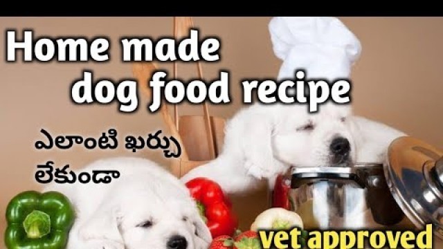 'homemade dog food recipe- 1 || easy & healthy dog food recipe || keerthi puppy vlogs telugu'