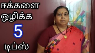 '5 Tips to get Rid of House flies In Tamil'