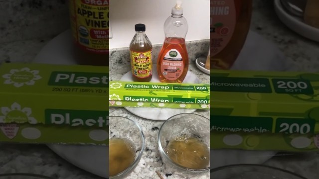 'How to GET RID OF FRUIT FLIES FAST! WITH only 3 items! (***THIS WORKS***) 2019'