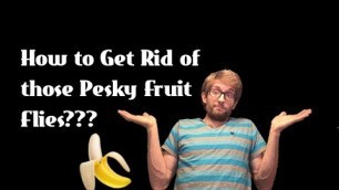 'How To Get Rid of those Pesky Fruit