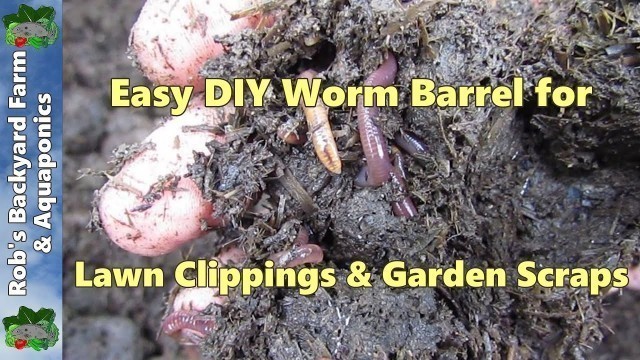 'How to make a worm farm.. Easy as worm barrel for lawn clippings & garden scraps..'