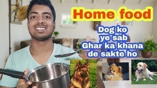 'Best Home made food for your Dog 