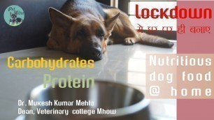 'Dog food at home during lockdown for your dog |Homemade dog food vegetarian'