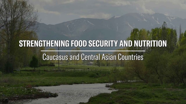 'Strengthening food security and nutrition in the Caucasus and Central Asia'