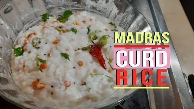 'MADRAS CURD RICE | ഇത്രയും സിംപിളും ടേസ്റ്റയുമായ വിഭവം ഒന്ന് ട്രൈ ചെയ്യൂ   | Homely Meals'