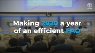 'Making 2020 a year of an efficient FAO'