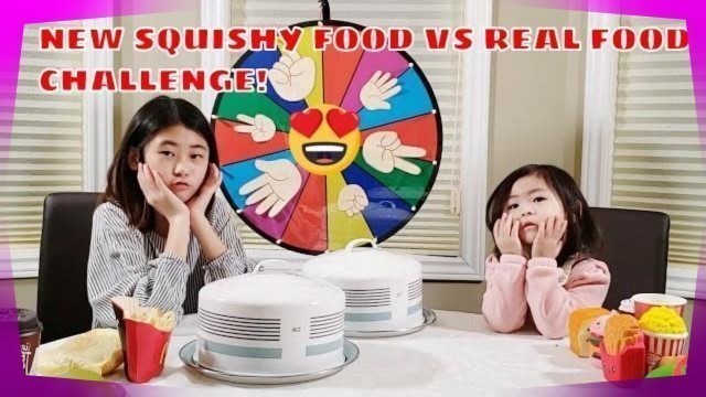 'SQUISHY FOOD VS REAL FOOD CHALLENGE...! #squishy videos, #squishy food toys'