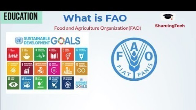 'Food and Agriculture Organization of the United Nations| How to Work'