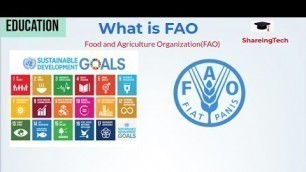 'Food and Agriculture Organization of the United Nations| How to Work'