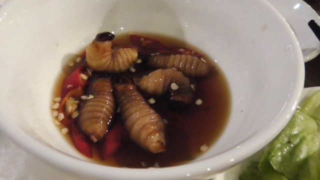 'Just another Worm Food from Vietnam - Premium Expensive Food Actually'