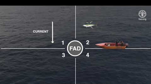 'FAD Fishing Techniques, a guide for fishing anchored FADs in the Pacific'