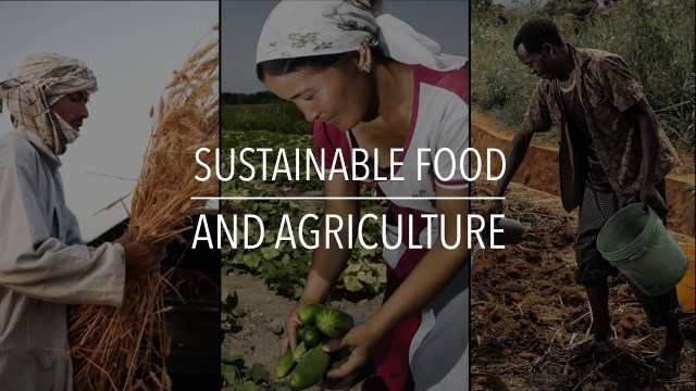 'FAO Policy Series: Sustainable Food and Agriculture'