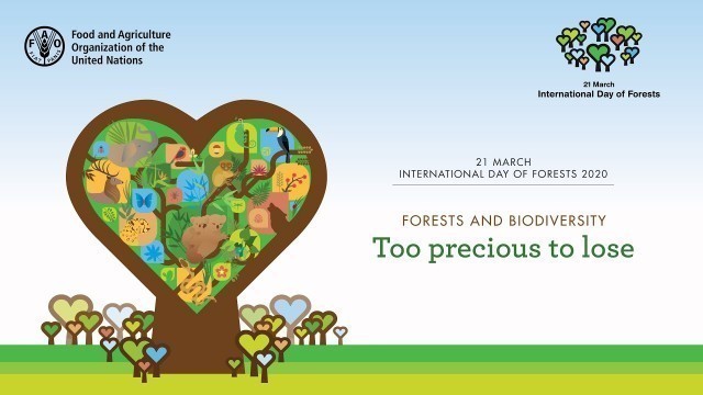 'International Day of Forests 2020: Virtual programme'