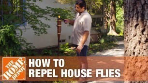 'How to Keep Flies Away and Prevent Flies in Your House'