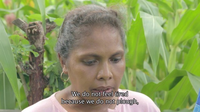 'Farmers’ testimonies on Conservation Agriculture in Timor-Leste'