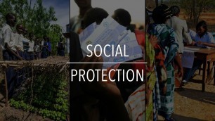 'FAO Policy Series: Social Protection'