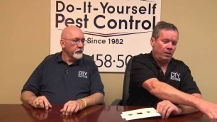 'Get Rid of Drain Flies - Drain Fly Control Products'