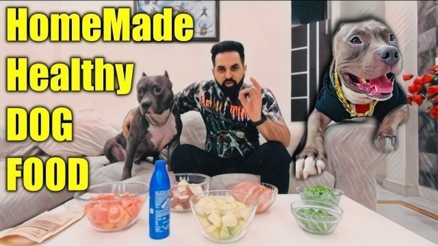 'What I feed my American bully Dog | Homemade Dog Food Diet | Harpreet SDC'