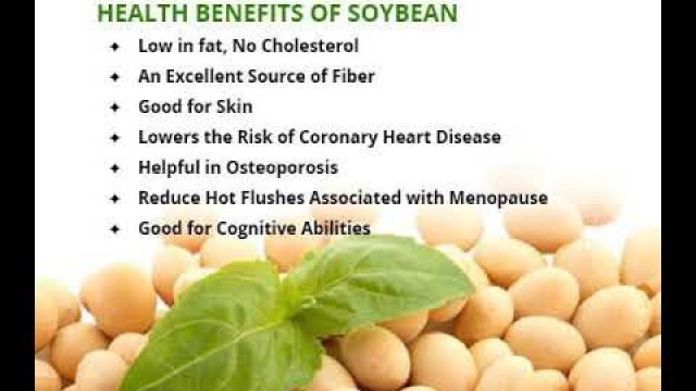 'LET FOOD BE THY MEDICINE, THY MEDICINE SHALL BE THY FOOD:_ BENEFITS OF soybean by Angerous I'