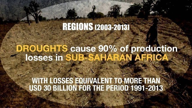 'The impact of disasters on agriculture and food security'