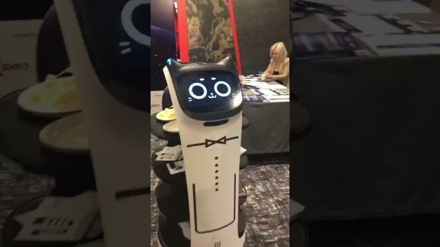 'Food delivery robot BellaBot walking on carpet stably'