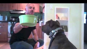 'Learn To Train The Good Dog Way: Waiting For Food'