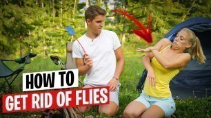 'How To Get Rid Of House Flies Naturally (20 Tricks That Actually Work)'