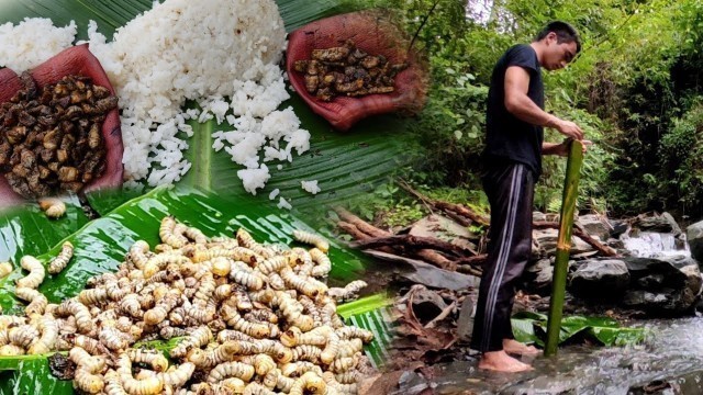 'Delicious Naga food \'Wild Worm\' from the forest'