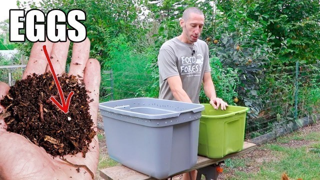 'How to Make a Worm Composting Bin, Quick, Simple and Inexpensive Gardening'