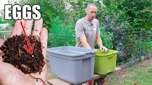 'How to Make a Worm Composting Bin, Quick, Simple and Inexpensive Gardening'