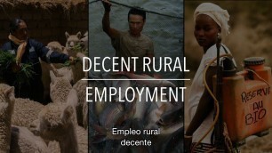 'FAO Serie sobre políticas: Empleo rural decente (con subtítulos)'