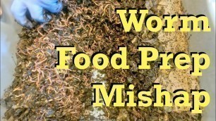 'Food prep mishap while tending to the red wigglers - worm farm vermicomposting'