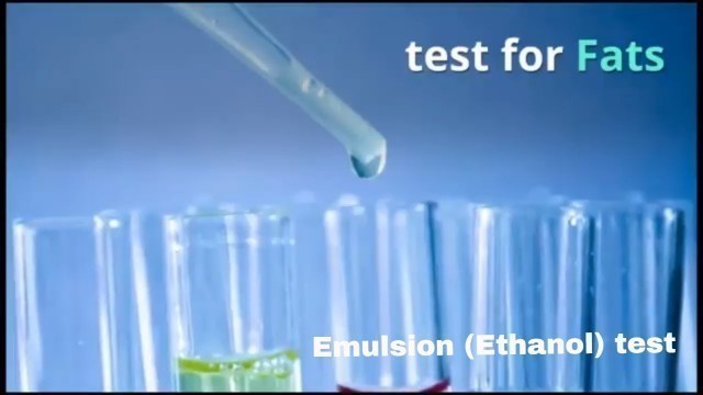 'Food test - Emulsion (ethanol) test for Fats: IGCSE/ GCSE/ AQA/ O level/ Cambridge Checkpoint'