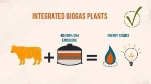 'Producing more food with less: Investing in resource-efficient technologies and practices'