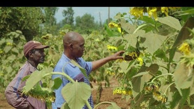 'Farming with Conservation Agriculture in Kenya'