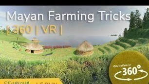 'How did the Ancient Mayans farm so much food? | 360 VR'