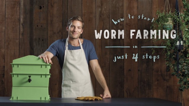 'How to start a worm farm in 4 steps: vermiculture made easy'