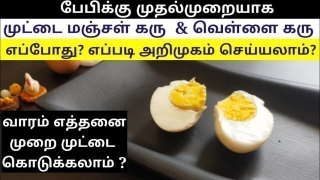 'How To Introduce Egg Yolk & Egg White To Babies in Tamil - When To Start Giving Egg To Babies'