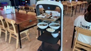 'Pudubot (Delivery Robot) in Restaurant'