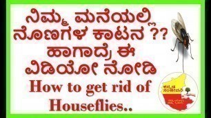 'How to Get Rid of Flies in the House Naturally..Kannada Sanjeevani..'