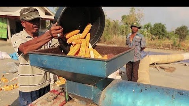 'Farming with Conservation Agriculture in Indonesia'