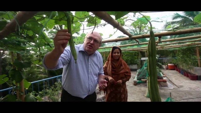 'FAO Bangladesh experiments with roof-top garden (1 min)'