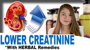 '[Easiest] How to Lower Creatinine 2019 - the Best Herbs to Improve Kidney Health'