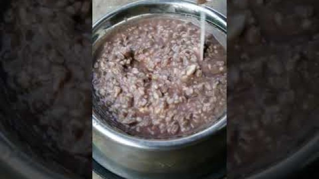 'Labrador puppy waiting for food 