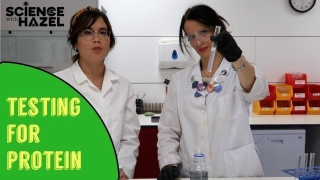 'Food Tests: How To Test For Protein | Biology Practicals'