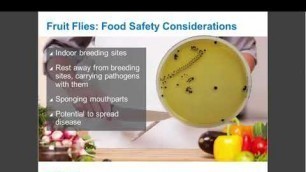 'Ecolab Food Safety Webinar: Small Flies JUNE 19, 2018'