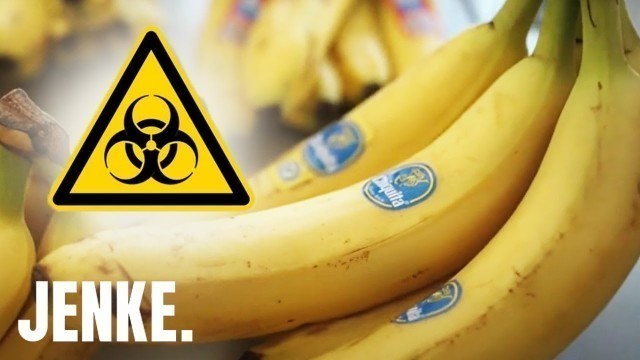 'Gift-Bananen: Krebserregende Pestizide gefährden Menschen! | JENKE. DAS FOOD-EXPERIMENT'